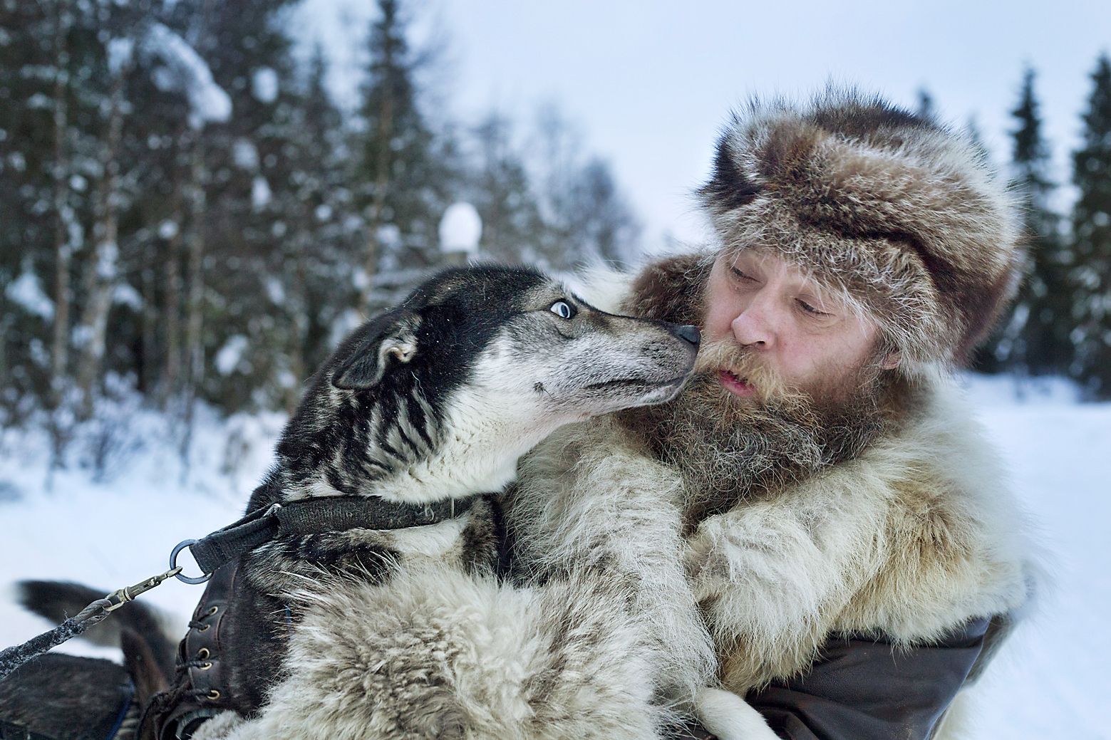 – Koirillemme hyvä hoito on vielä tärkeämpää kuin lemmikeille, koska nämä ovat myös työkavereita ja perheenjäseniä, korostaa Jukka "Susi" Nordman.
