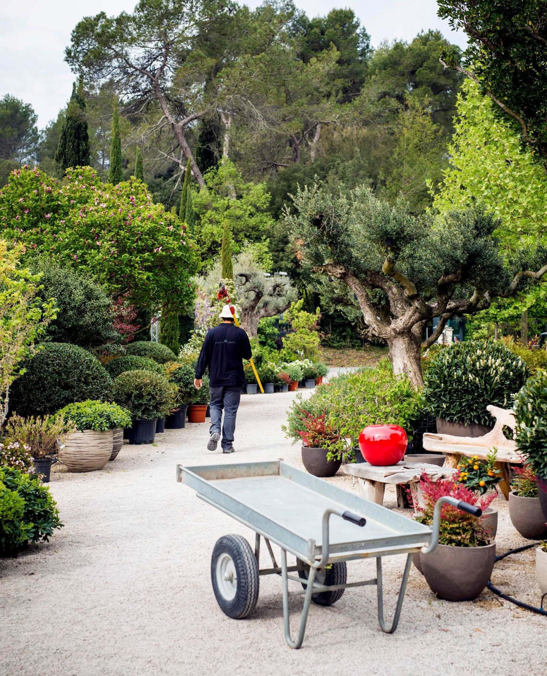Leikatut pensaat antavat muuten luonnonmukaiselle puutarhalle ryhtiä ja luonnetta.
