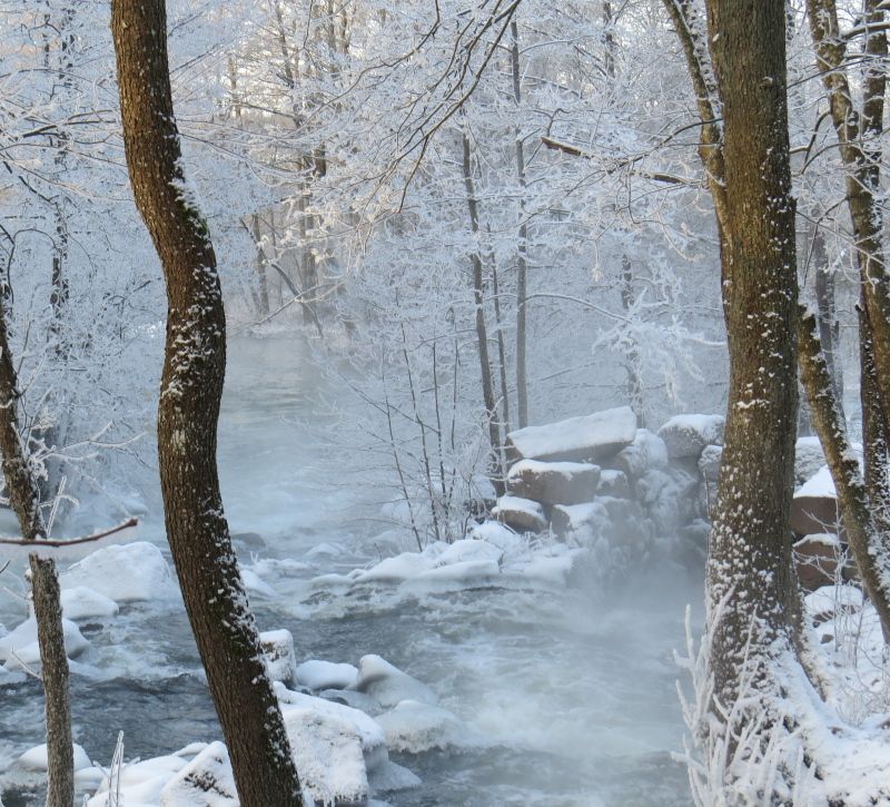 Lukijan kuva: "Yksi ainoa auringonsäde riittää hävittämään miljoonia varjoja"