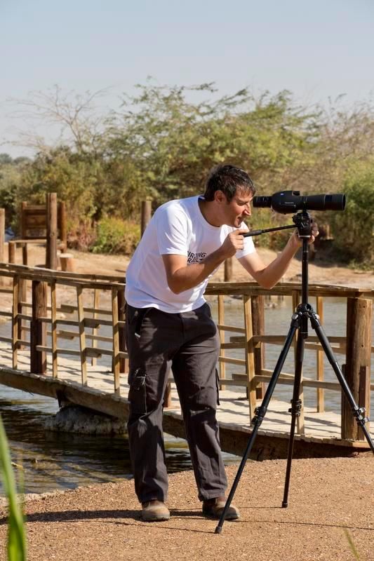 Eilatin lintupuiston johtaja, ornitologi&nbsp;Noam Weiss näyttää, mihin aloittelijan kannattaa katsoa kaukoputkella.