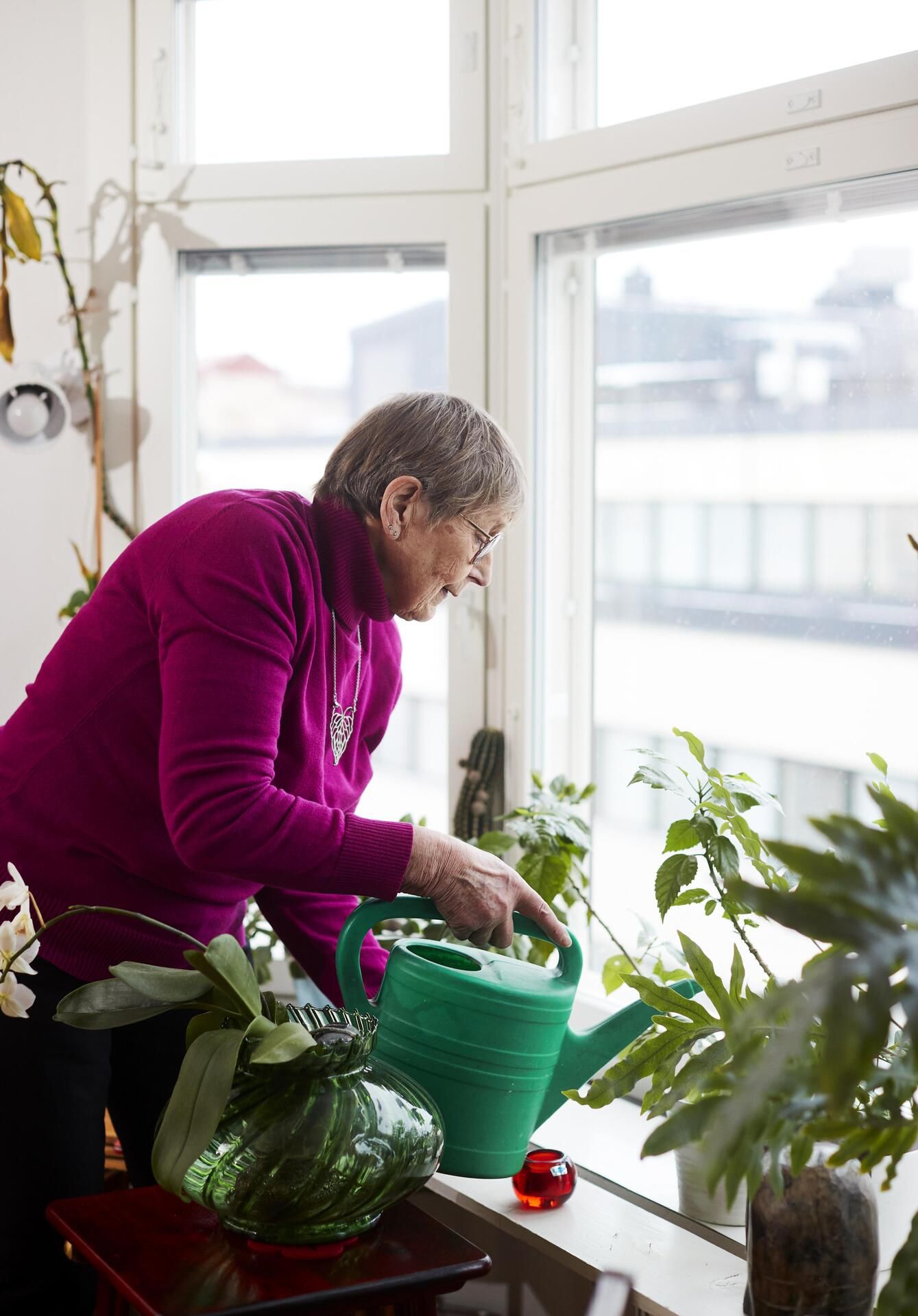 – Olen puutarhuri enemmän hengeltäni kuin taidoiltani, Pirkko sanoo.