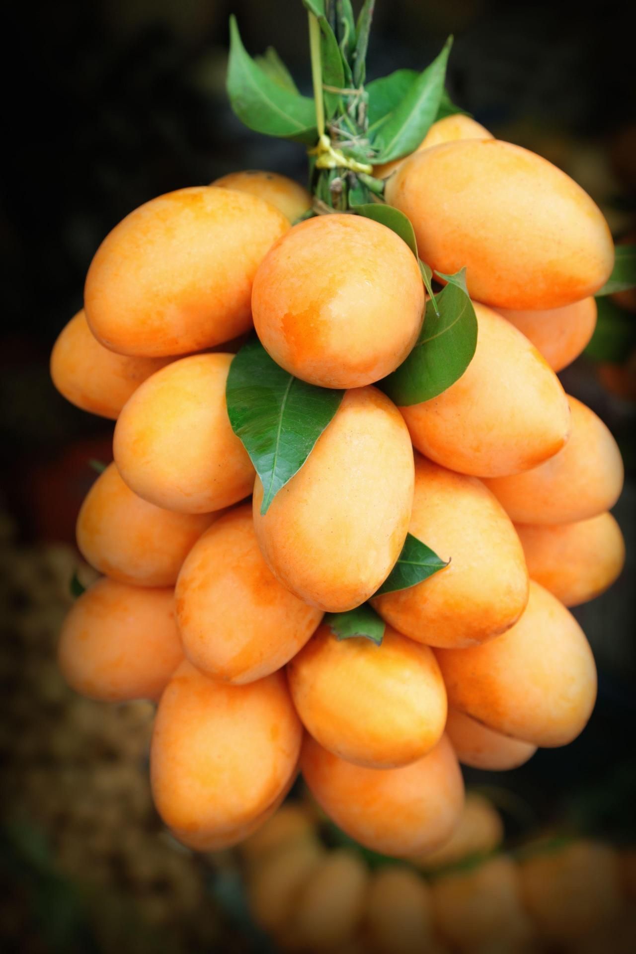  Katukojuissa riittää silmäniloa.