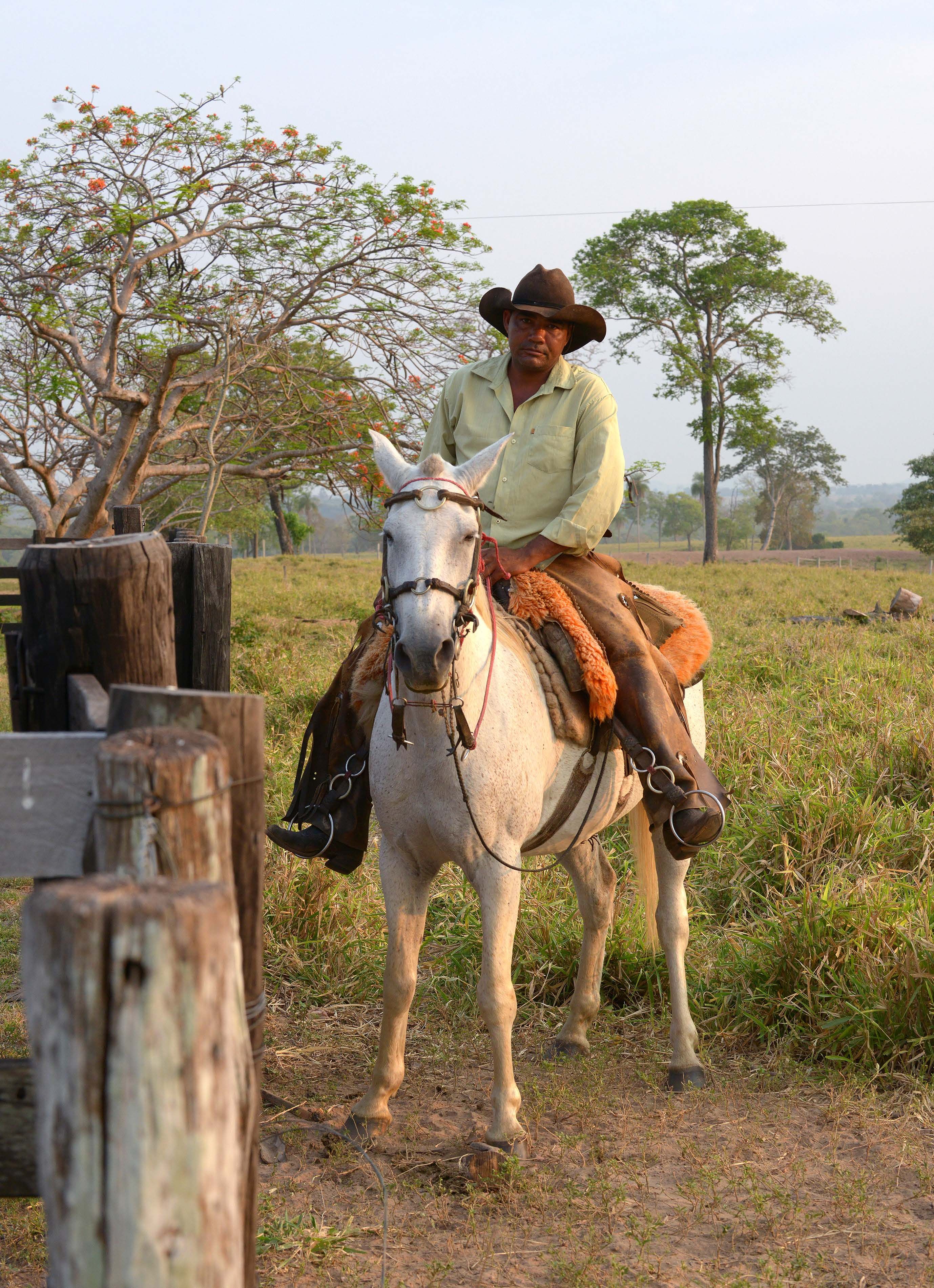 Paimen liikkuu karjan seassa ratsain. Hevosen selästä myös luontomatkailija näkee luonnon parhaiten.