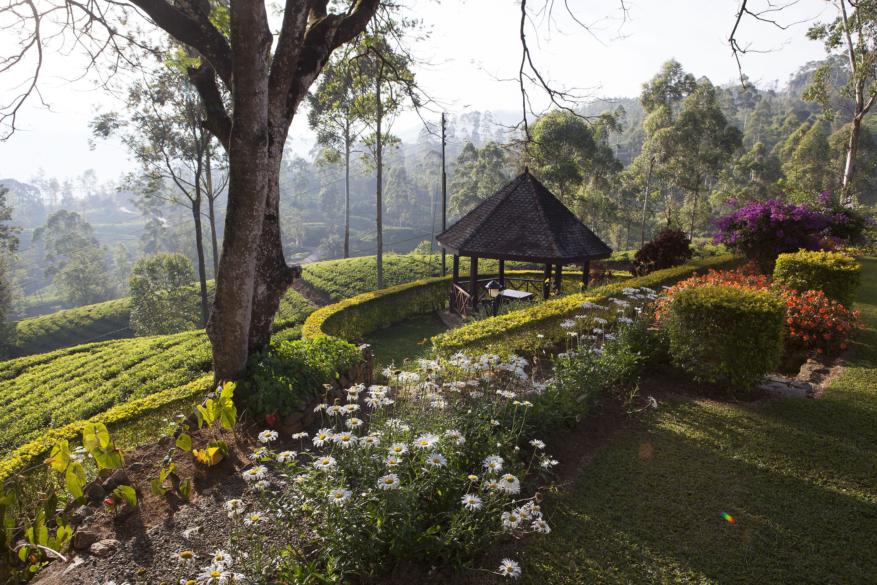 Hotelli Norwood Bungalow sijaitsee kilometrin korkeudessa parin tunnin ajomatkan päässä pääkaupunki Colombosta.