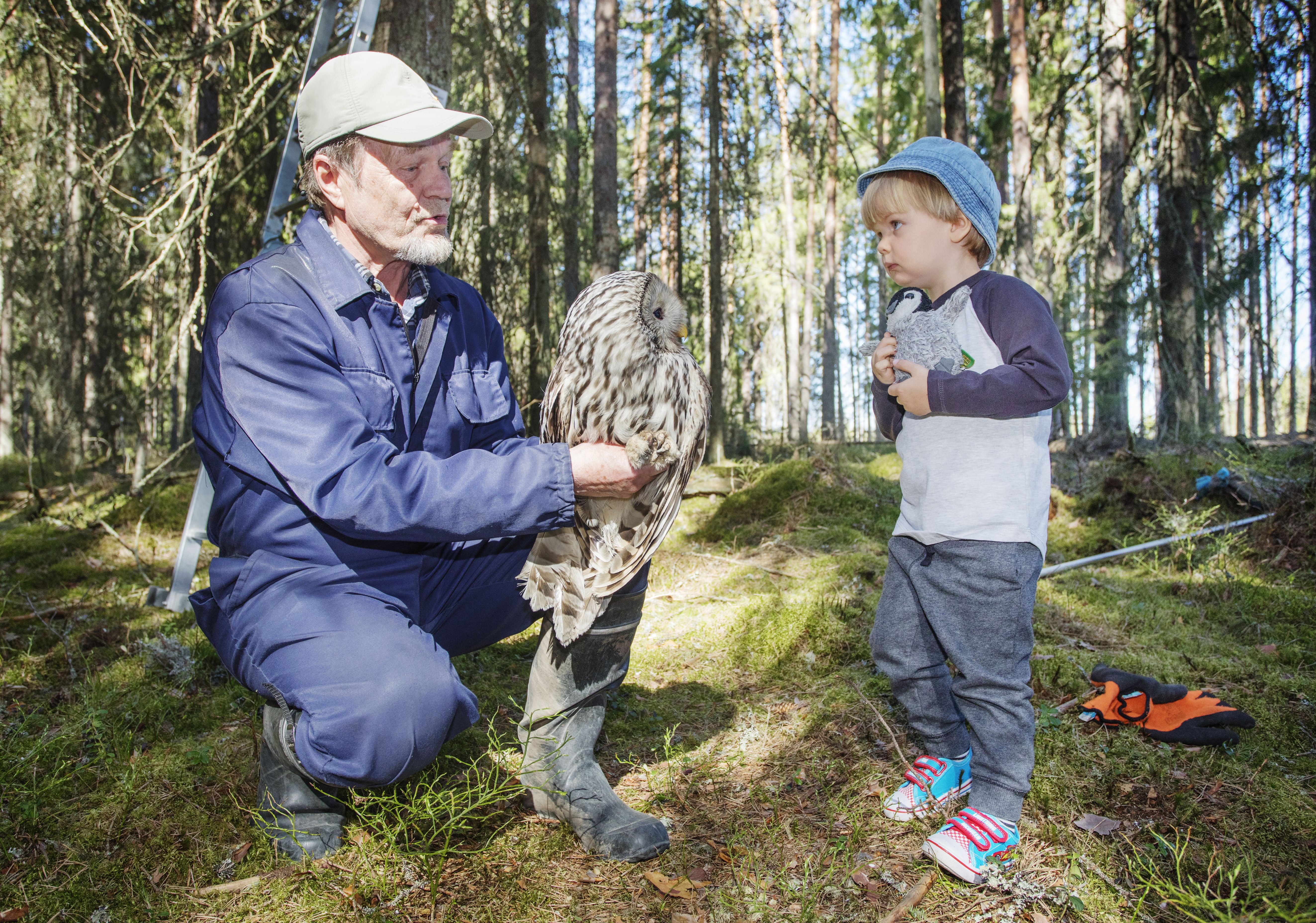Heikki&nbsp;esittelee pöllön Vernelle, joka puolestaan saa tutustua Vernen pehmoleluun.