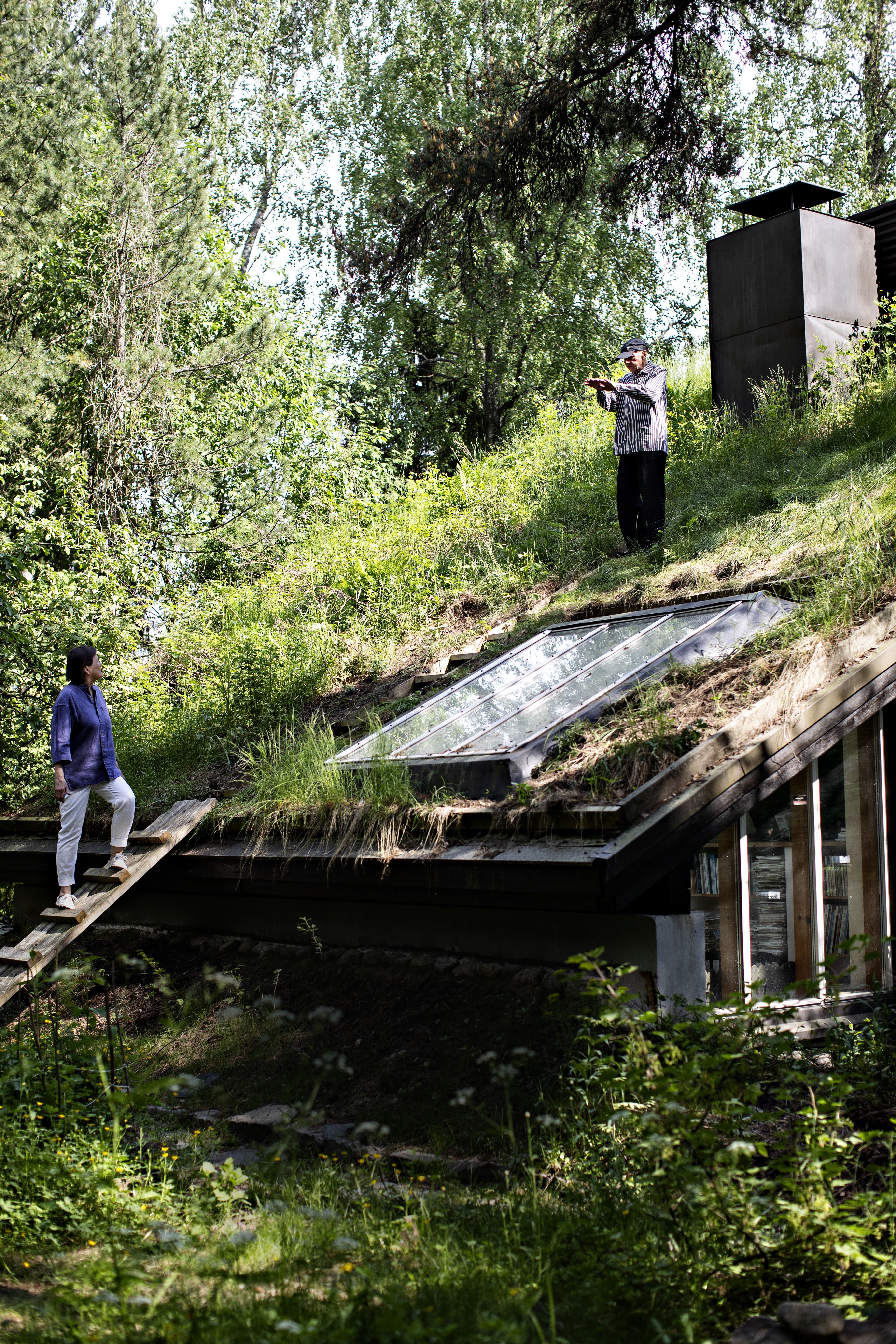 Maakatto on niittykukkien aikaa ilo silmälle. Katto on myös todellinen hyönteishotelli.