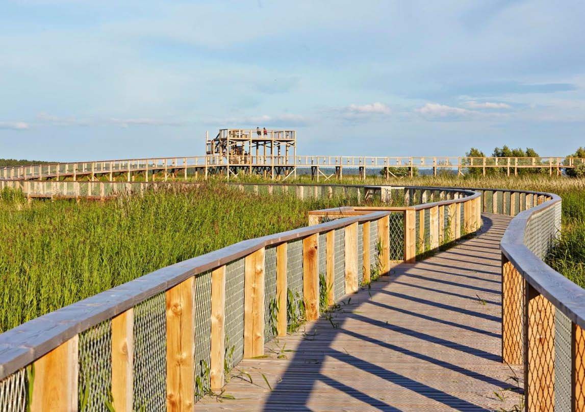 Rantaniityltä on mukava aloittaa lenkki.