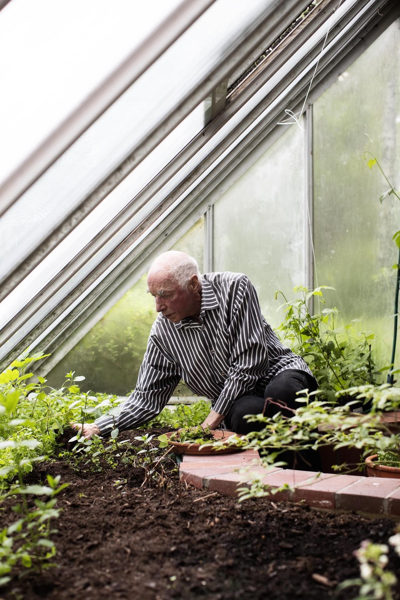 Pääjulkisivun viherhuone tuo puutarhan osaksi asuntoa.