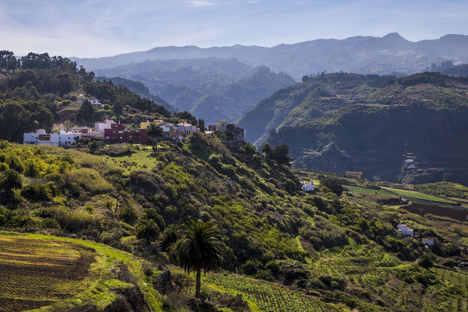 Maatalous kukoistaa Firgasin ja Terorin välissä. 