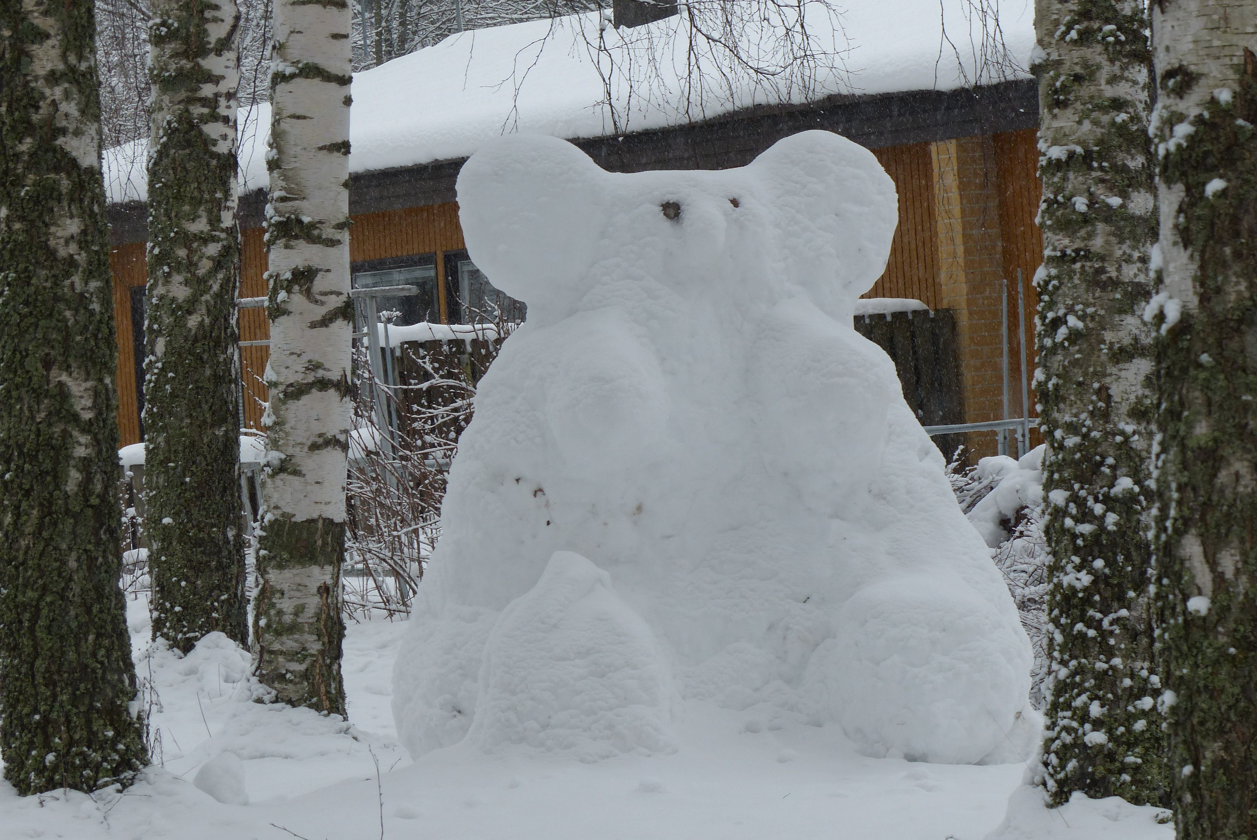 Tämä ei ole lumiukko vaan jääkarhu, kokonsa puolesta veikkaisin urokseksi. Kuka sanoi ettei meillä Suomessa ole jääkarhuja, kysyy nimimerkki Mökin muori.
