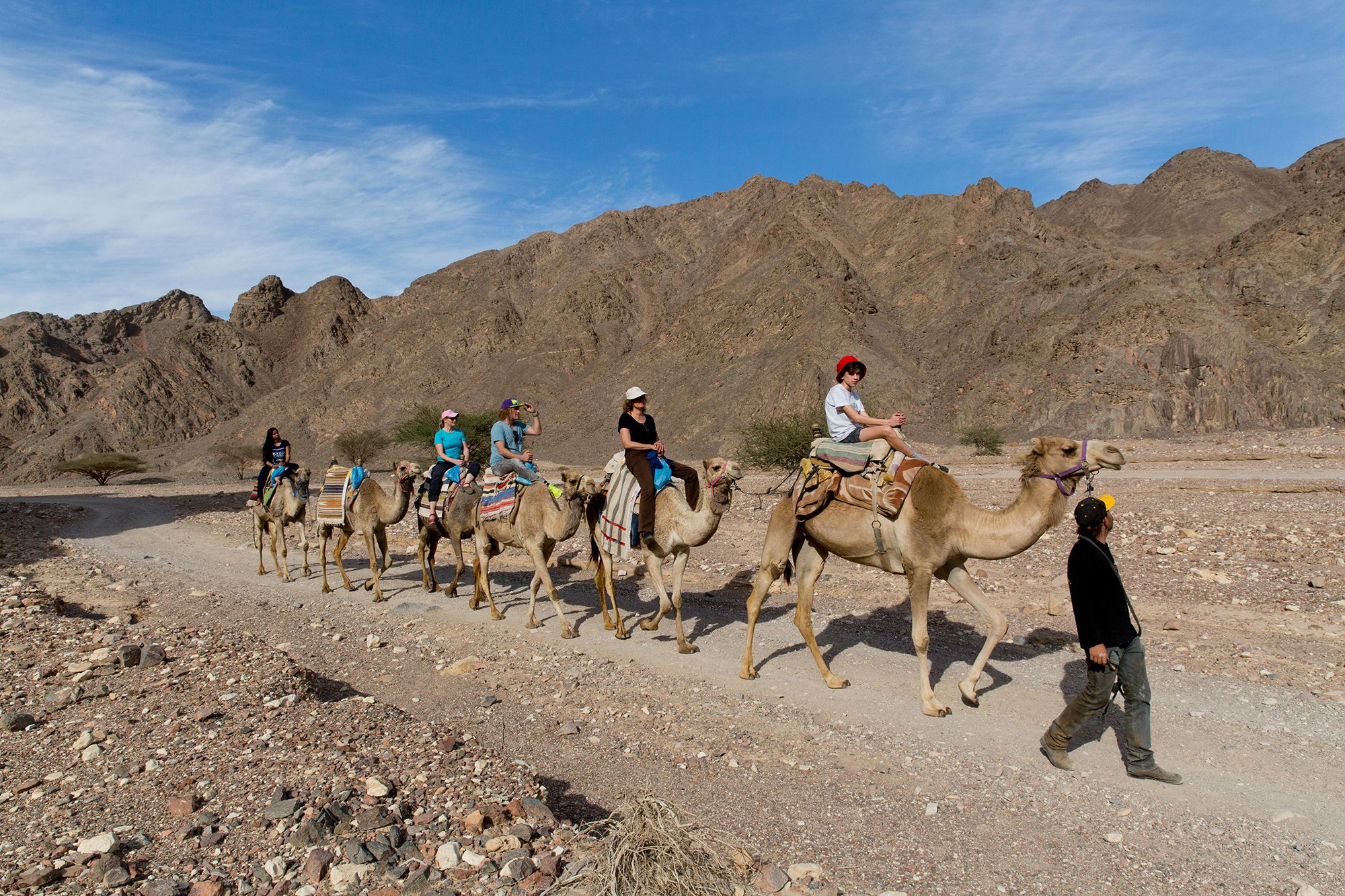 Kamelisafarilla voi tutkia autiomaata rennosti.