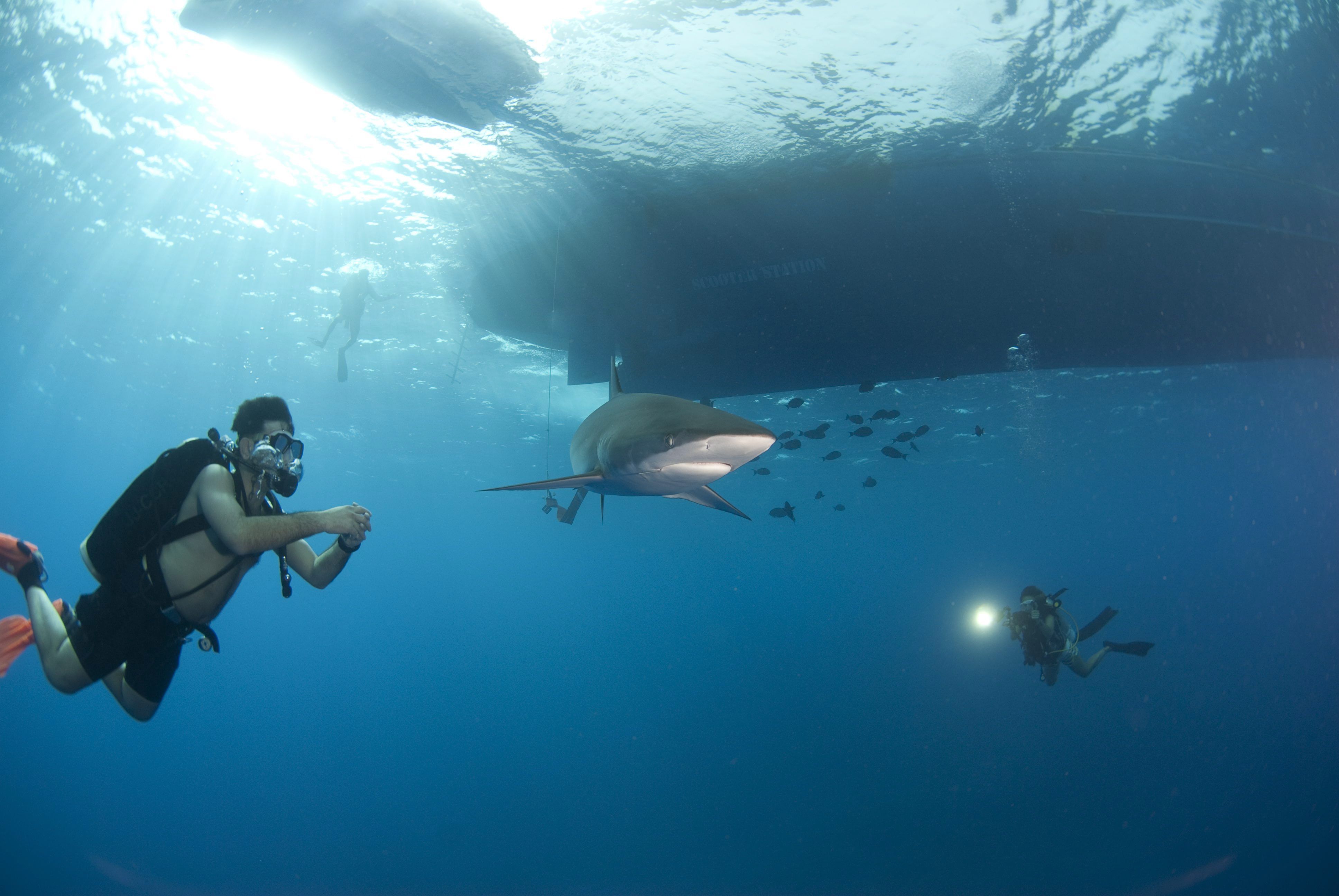 Kuva Ismo Kuusisto / Dive Travel Finland