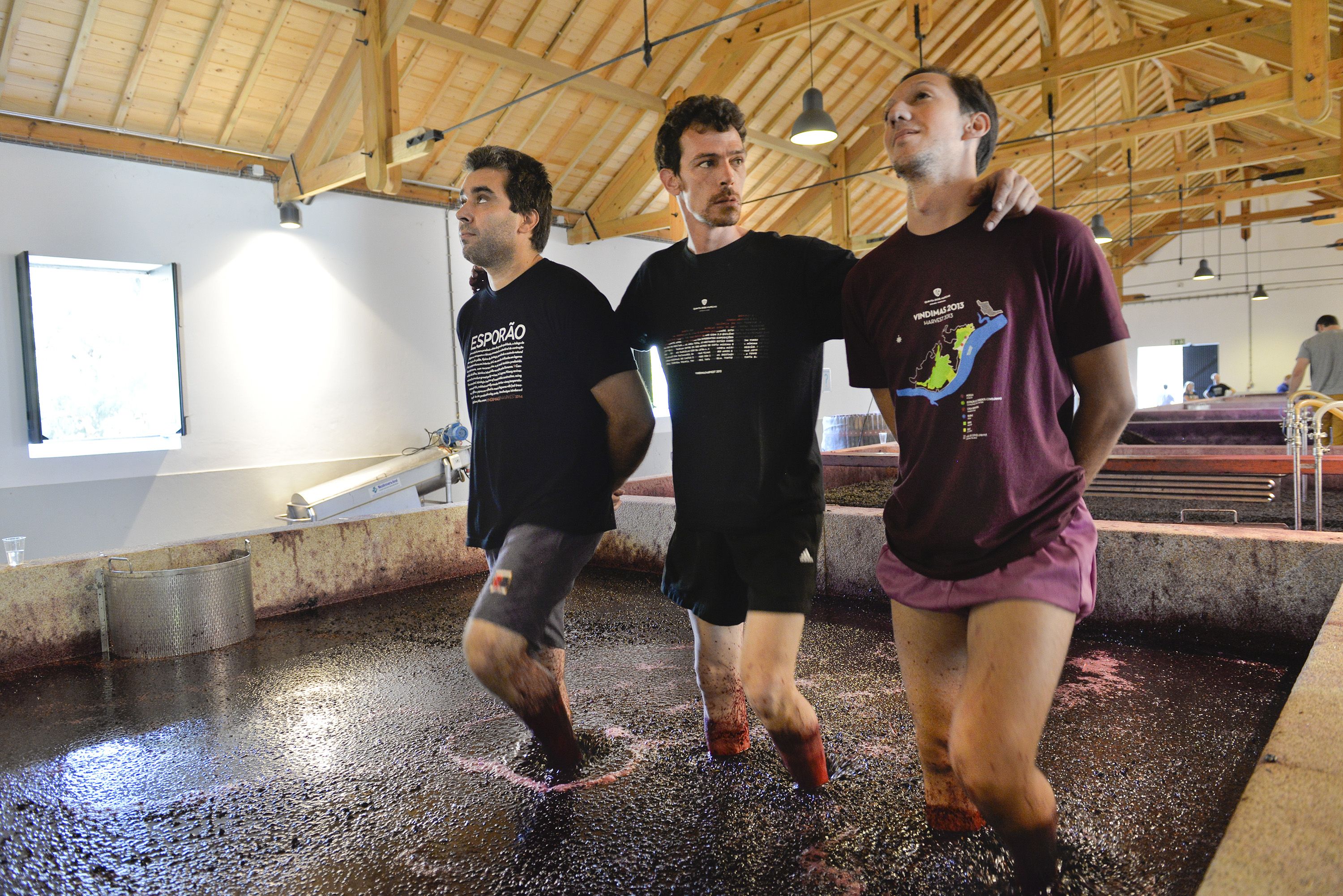 Murcasin tilalla poljetaan viiniä antaumuksella. 