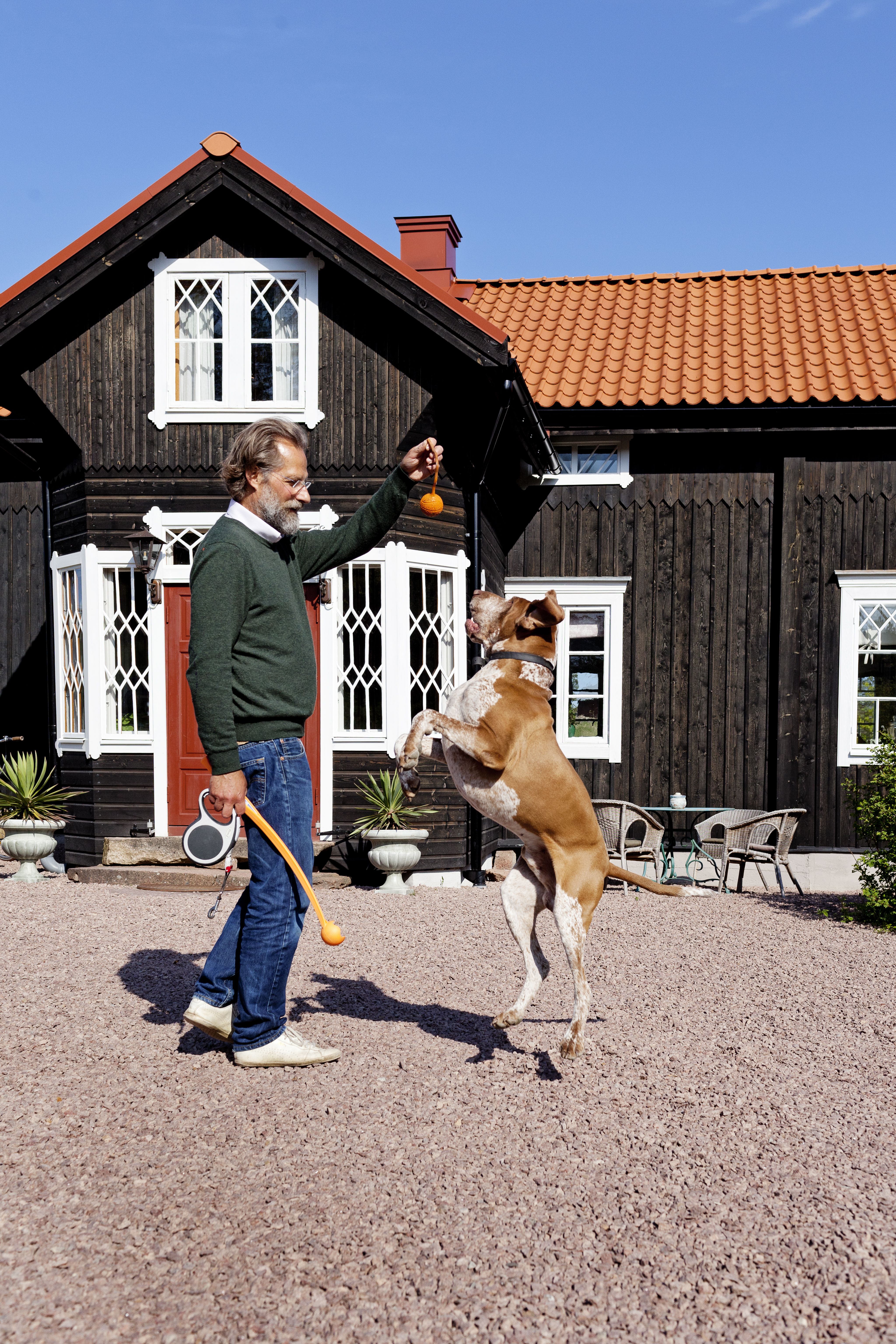 Brunello-koira pitää vieraista, vaikka haukkuu heidät ensi kohtaamisella.