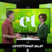 Riston vastaanotolla: Iltainen jalkojen levottomuus johtuu tästä