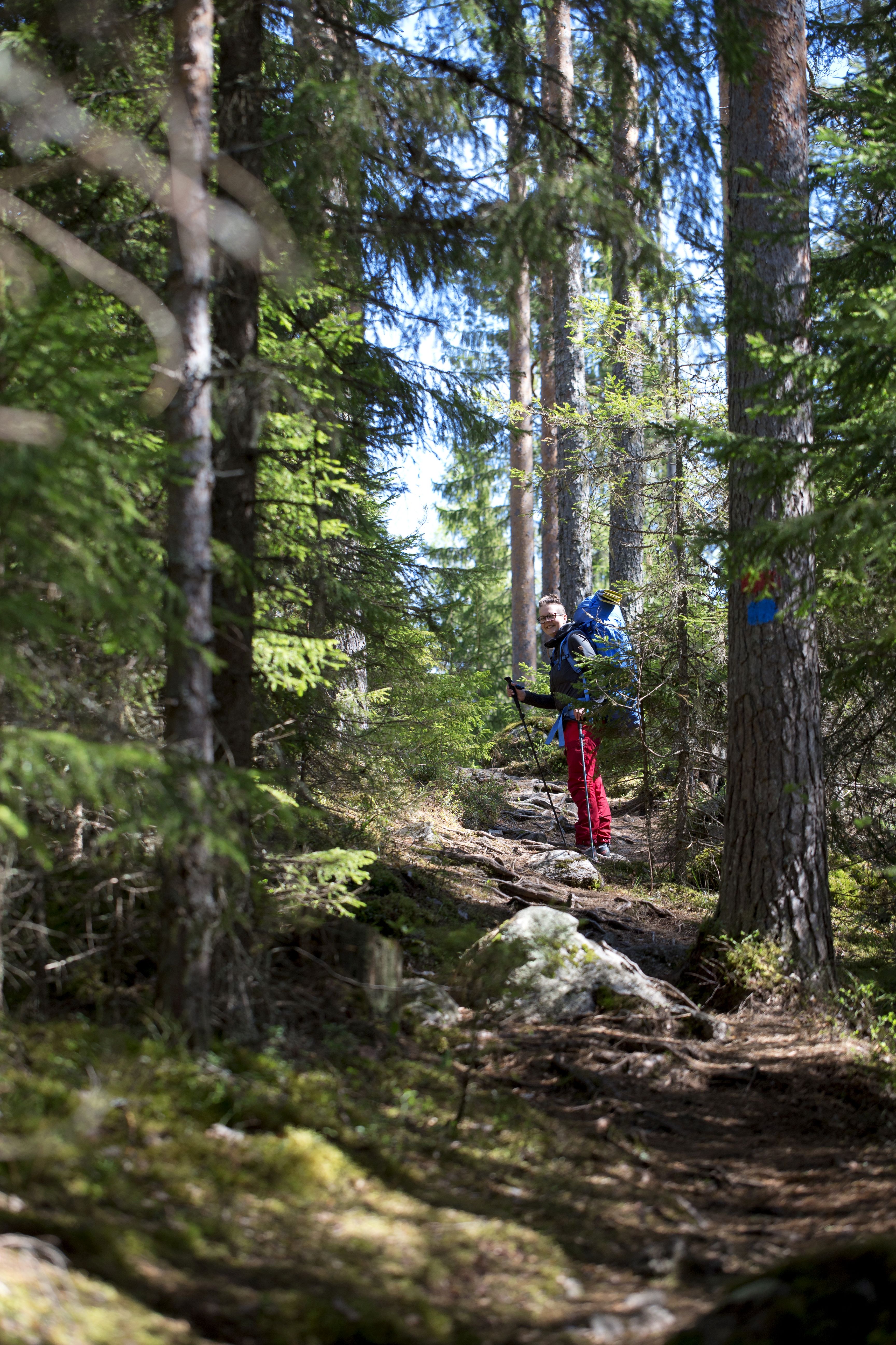 – Etsin metsästä hiljaisuutta ja rauhaa, Minna sanoo.