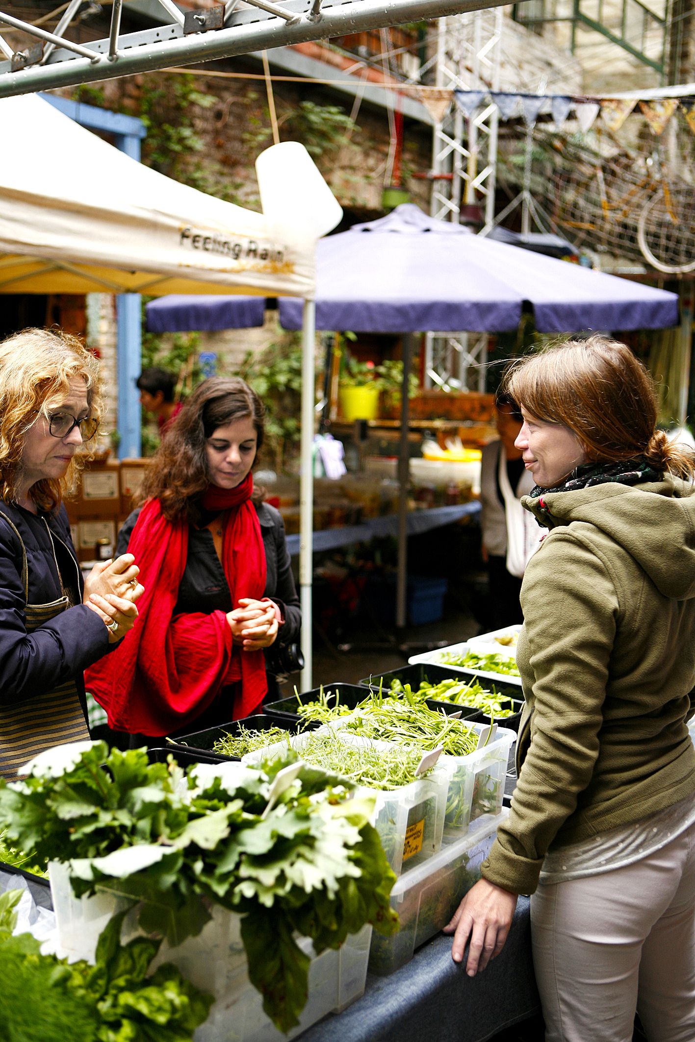 Szimpla Kertin raunioravintola on aamulla luomutori.