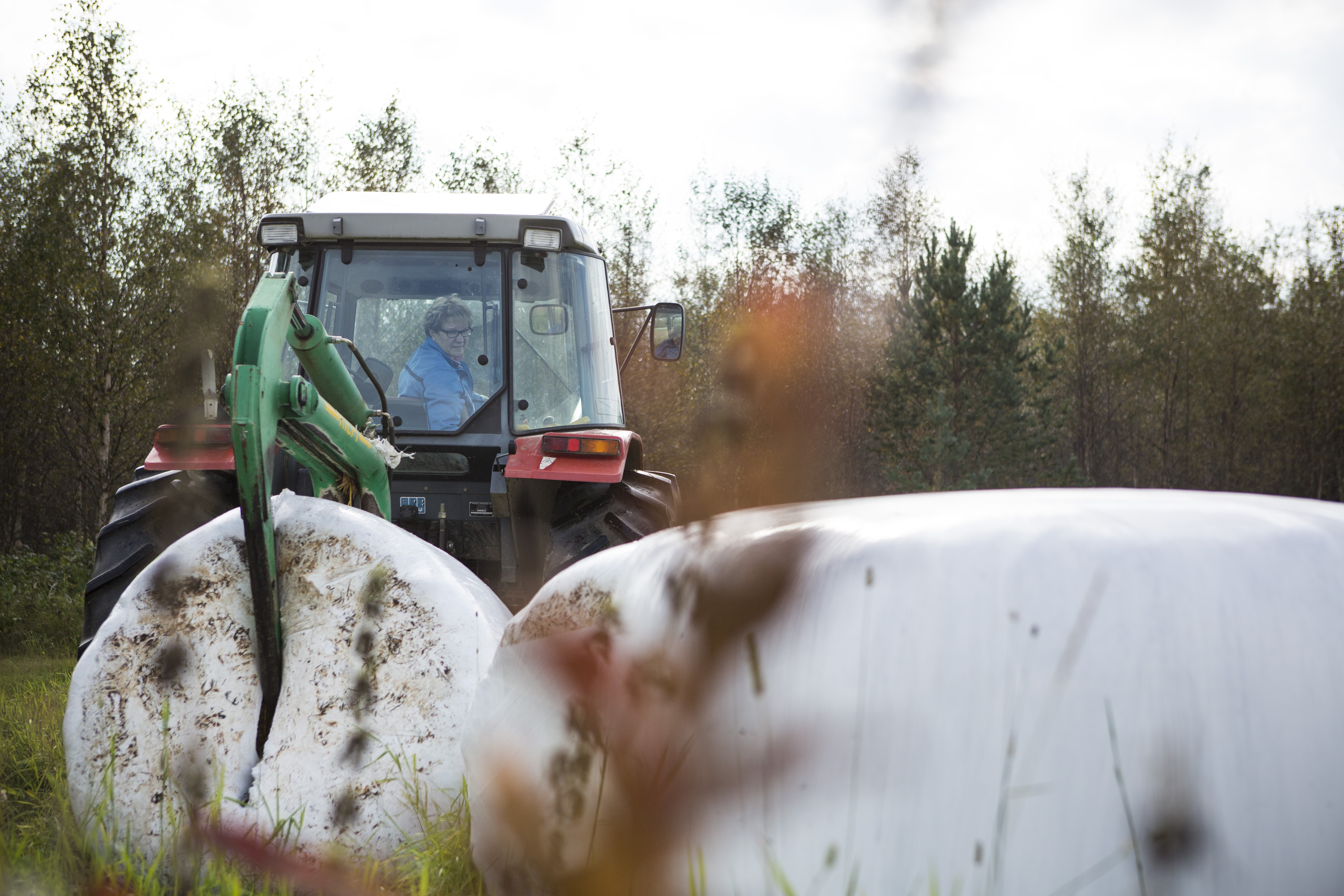 – Parasta työssä on, että sitä voi tehdä omaan tahtiin, Vuokko sanoo.