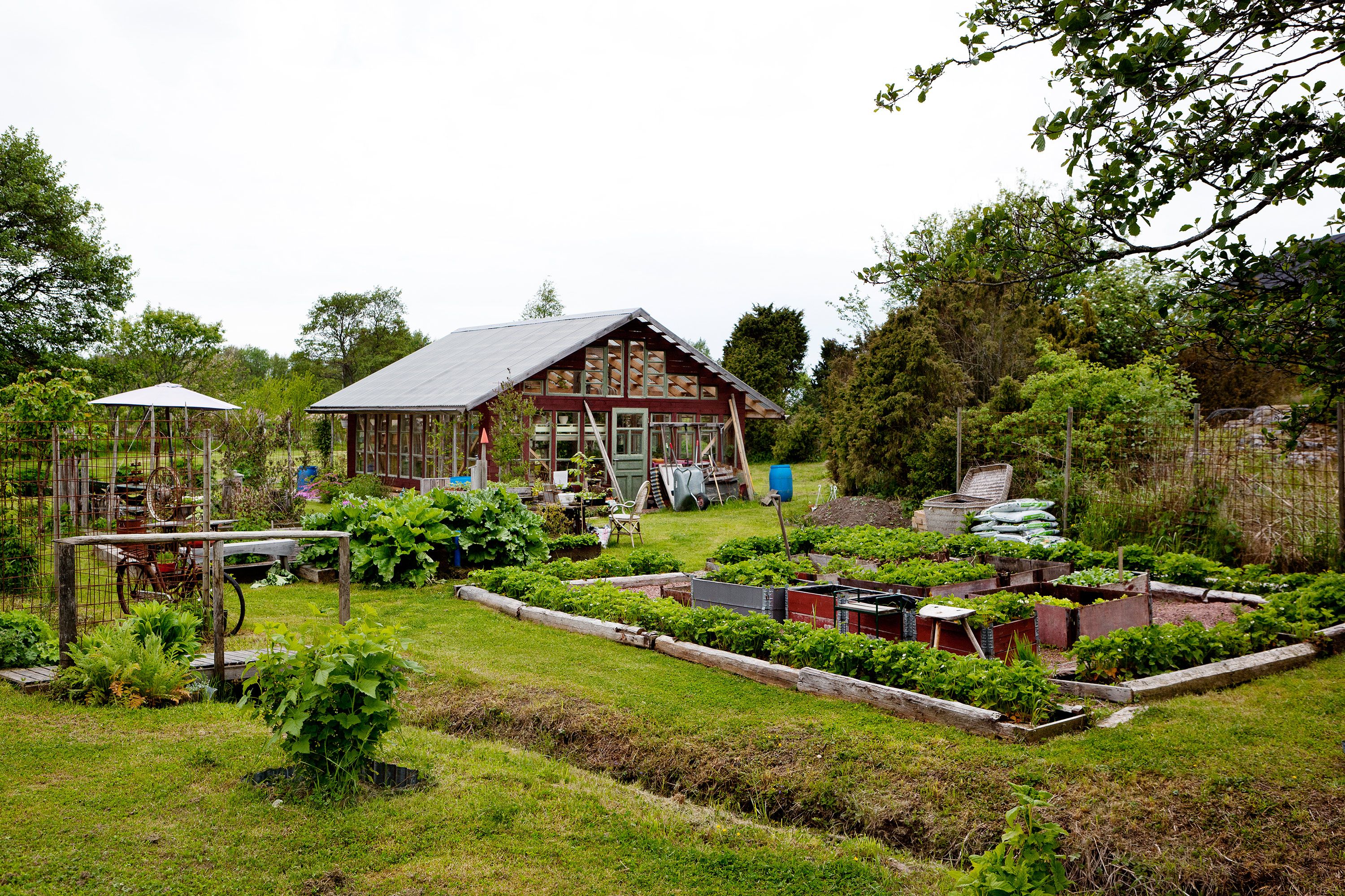 Vanhoilla tukeilla on rajattu suuri kasvatusalue perunalle ja palsternakalle.