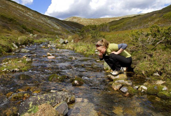 Taivaskeron reitillä Pallastuntureilla voi juoda suoraan purosta.