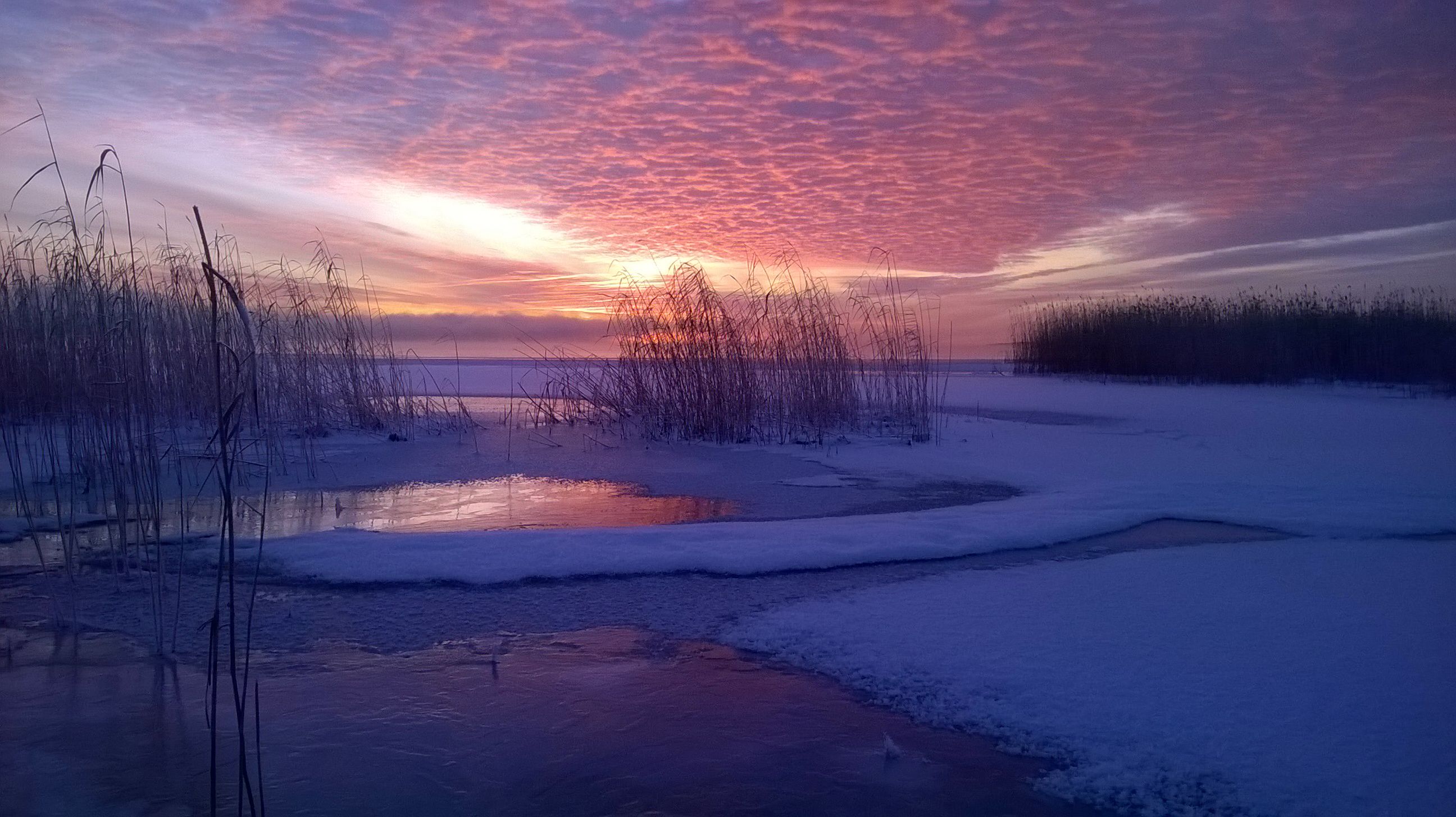 Anitta Räsänen lähetti tämän aamuauringon värittämän pakkaskuvan Joensuun seudulta. 