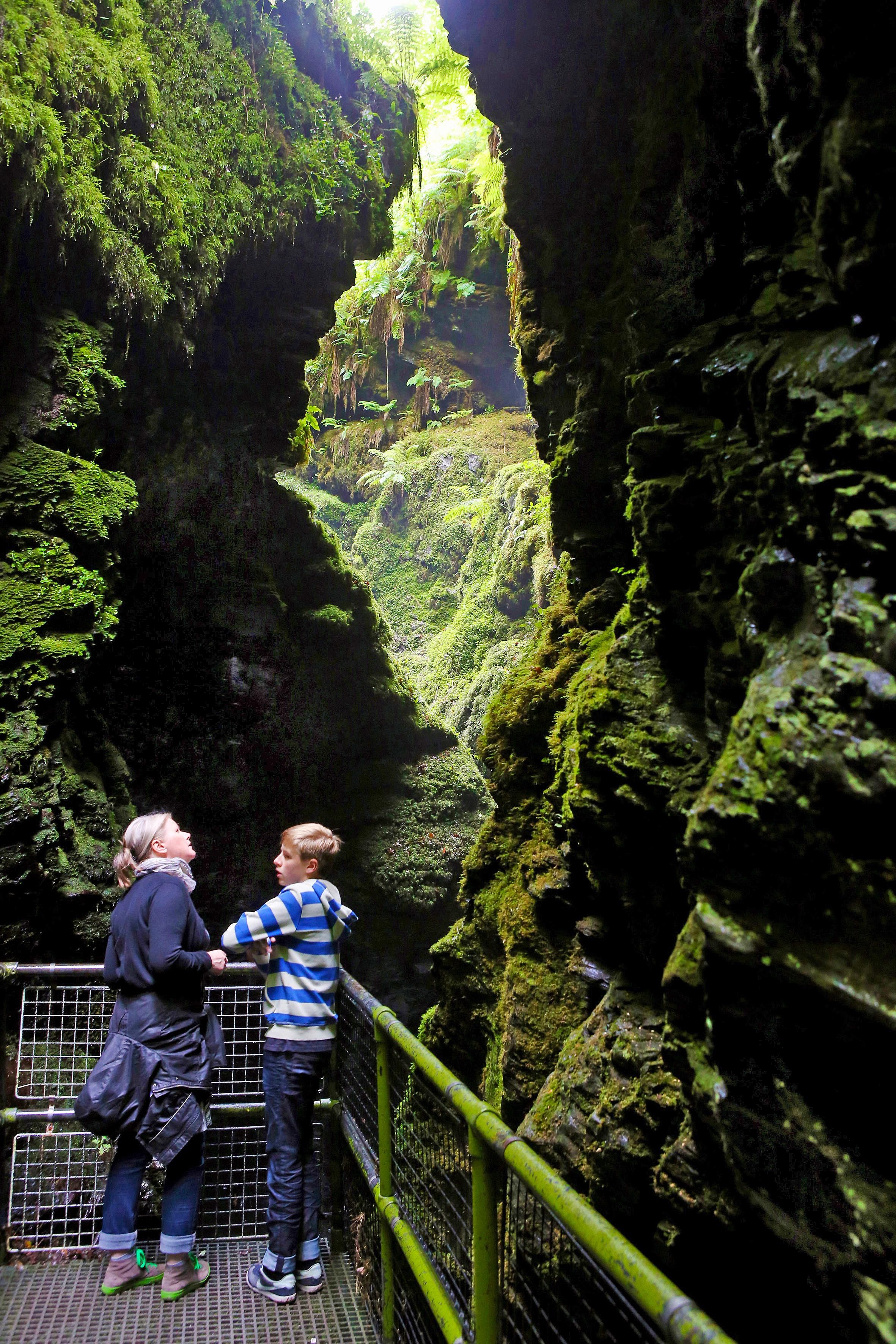 Lydfor Gorgen luontopolku sukeltaa Dartmooren rotkoihin.