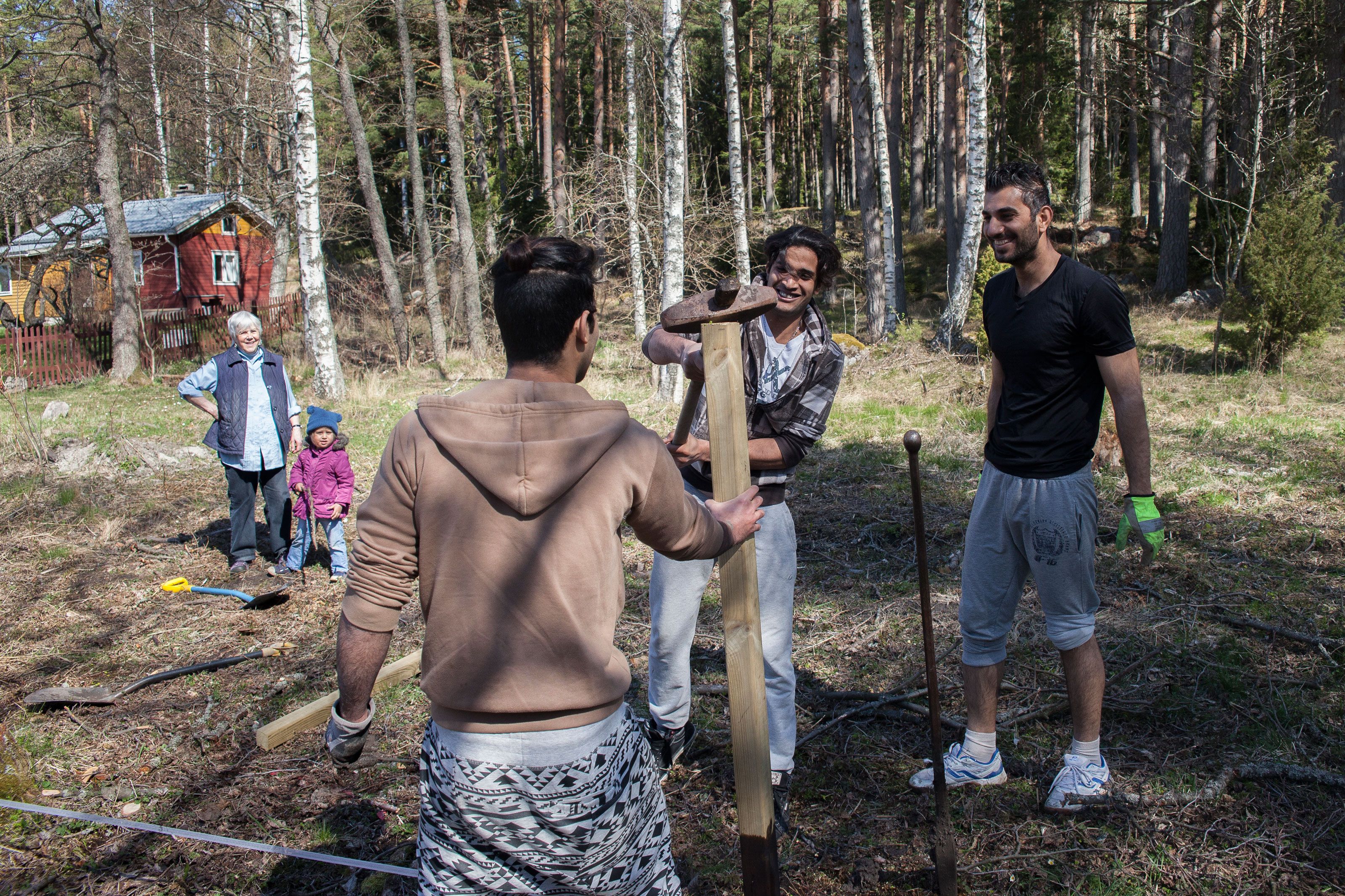 Ahmed, Azaldeen ja Fars pitävät talkoista.
