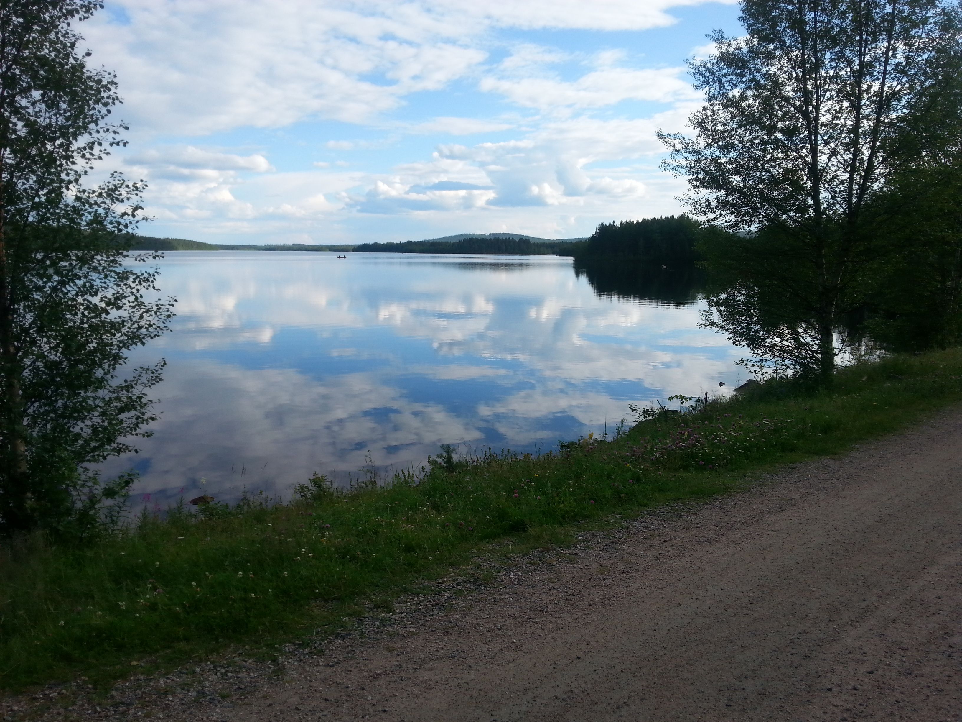 SF:n raitiovaunut tarjoavat huimaa kyytiä.
