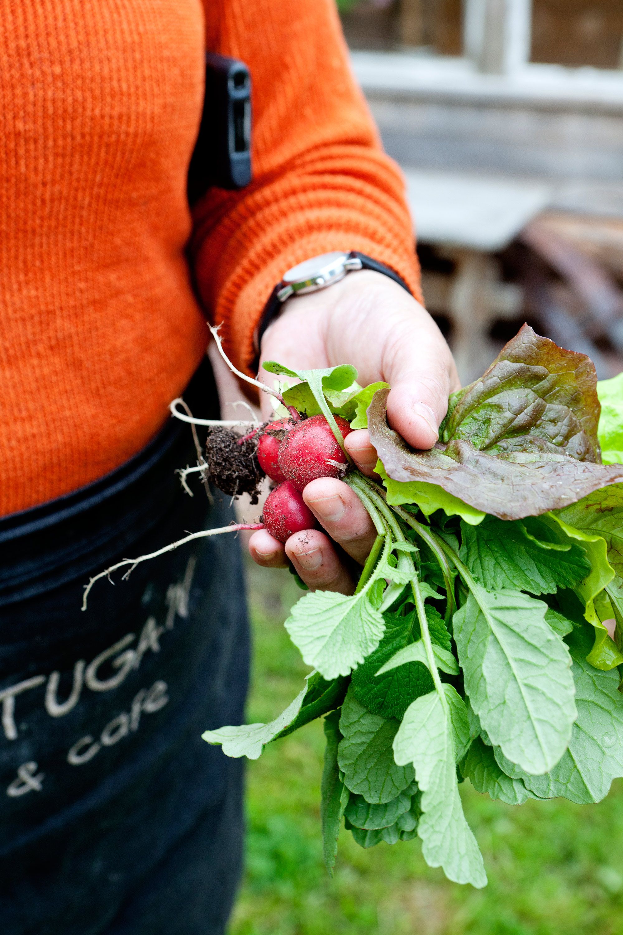 Oman maan retiisejä.