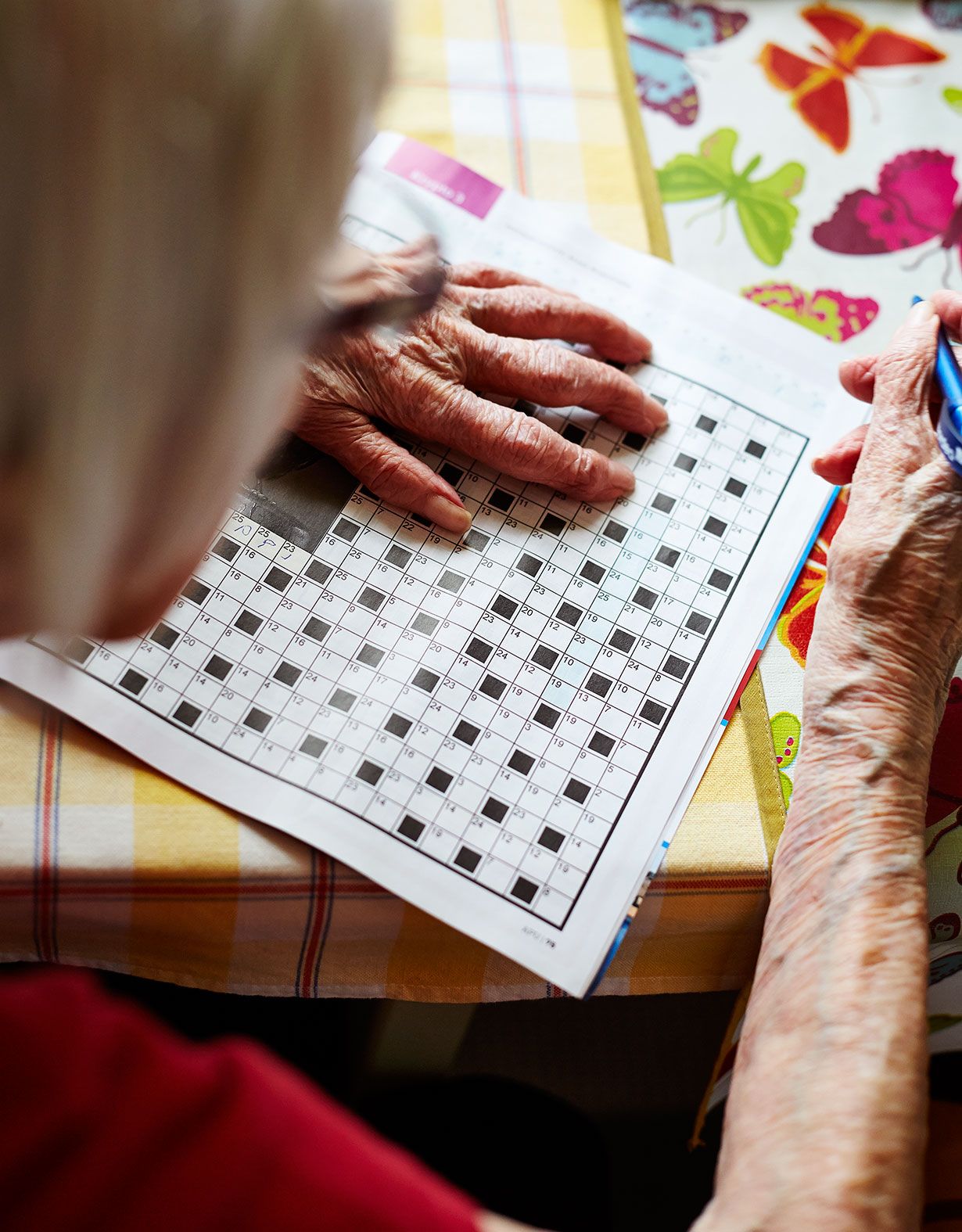 Kryptoristikoiden ratkominen on Allin hupia. Entisellä opettajalla sanat ovat hallussa.