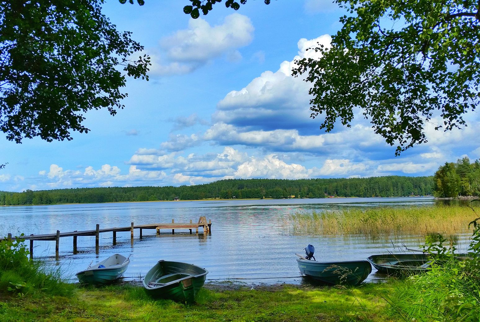 Kuvaaja Joel Määttä. "Mikään ei kuvaa Suomen luontoa paremmin kuin järvet ja metsät. Näin rauhallisia paikkoja, samalla lähellä asutusta, ei muualta maailmasta löydä. Havumetsät, terva, pihka, sininen järvi ja laineiden liplatus."