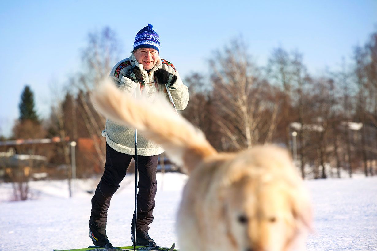 Bono-koira on hyvä kaveri, hiihtoretkillekin. Talvisin Risto hiihtelee aina kun ehtii.